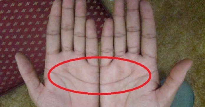 learn palmistry easy way