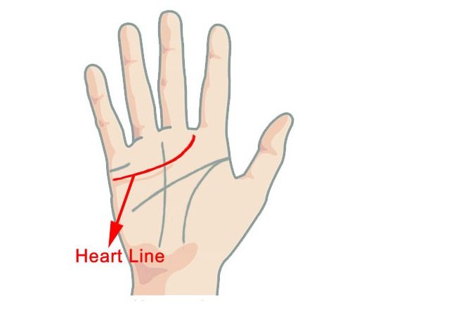 palm1