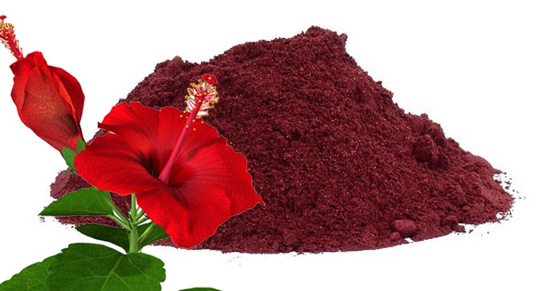 hibiscus powder gall bladder stone treatment in hindi 