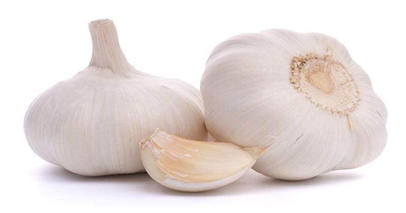 under-garlic-newstrend-04-10-16-2