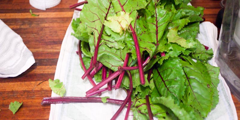 beetroot-leaves-newstrend-01-11-16-2