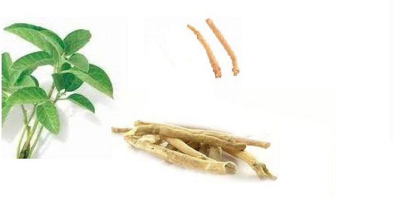 Benefits of Ashwagandha