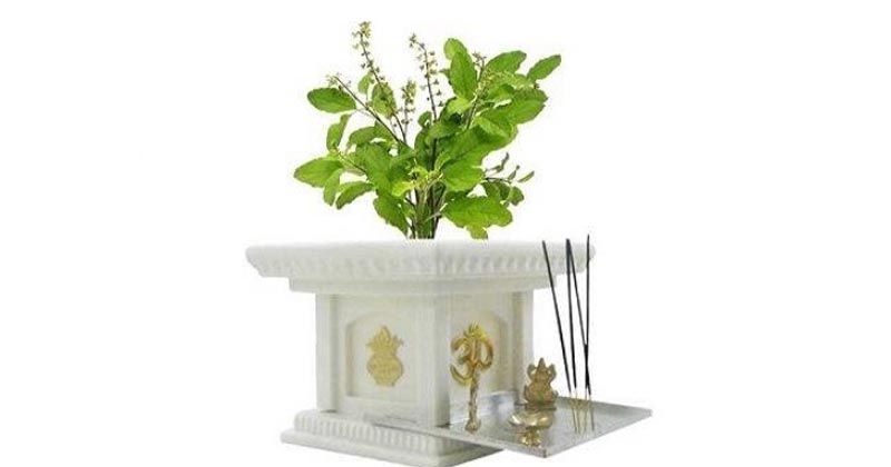 gardening according vastu