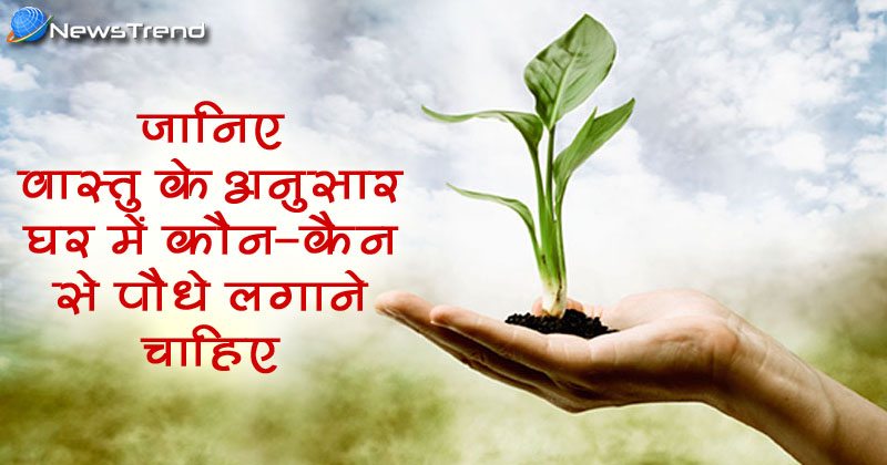 gardening according vastu