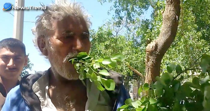 यह व्यक्ति पेट भरने के लिए खाना नहीं बल्कि खाता है पेड़ों के पत्ते और लकड़ियाँ.... देखें वीडियो!