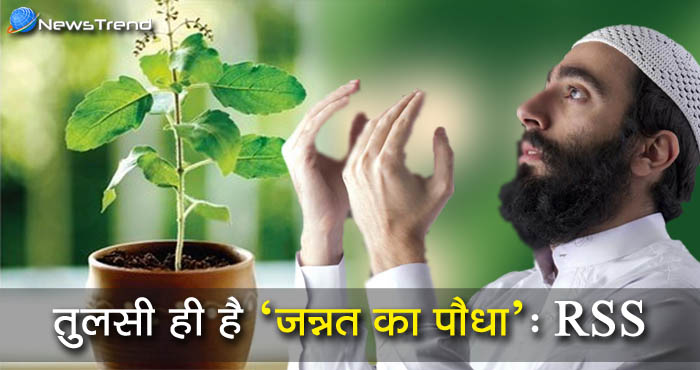 आरएसएस ने कहा तुलसी के पौधे का हिन्दुओं ही नहीं बल्कि मुसलमानों से भी है गहरा रिश्ता!