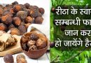 रीठा से केवल मजबूत बाल ही नहीं, बल्कि मिलते हैं ये हैरान कर देने वाले फायदे, जानें रीठा से केवल मजबूत बाल ही नहीं, बल्कि मिलते हैं ये हैरान कर देने वाले फायदे, जानें