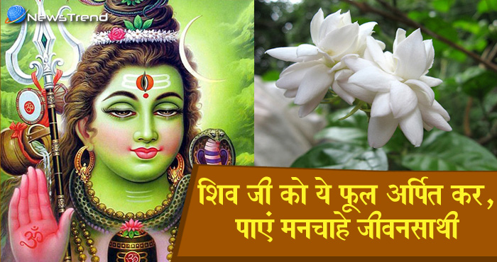 भगवान शिव को अर्पित करें ये फूल, जल्द ही पूरी हो जाएगी मनचाहे जीवनसाथी की कामना