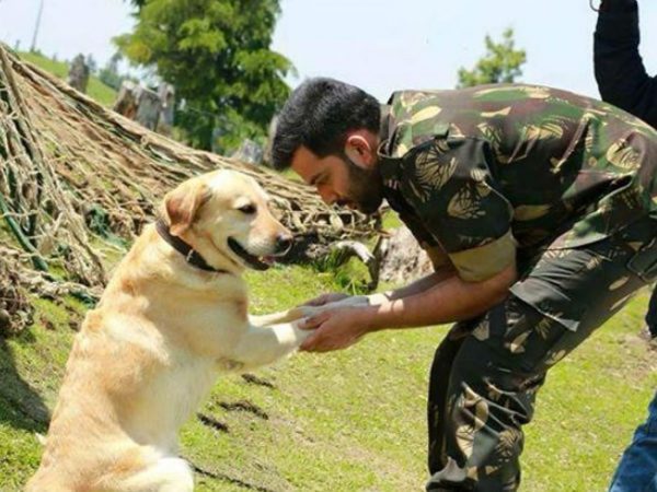 वफादार कुत्तों को इंडियन आर्मी रिटायरमेंट के बाद मार देती है गोली.. ये है वजह