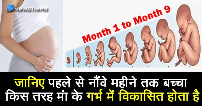 जानिए गर्भ में 1 से 9 महीने तक बच्चे के किस अंग का विकास कब और कैसे होता है