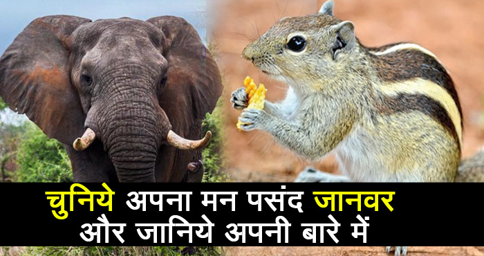 चुनिये अपना मन पसंद जानवर और जानिये अपनी ताकत और बुराइयों के बारे में