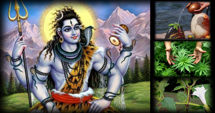 महाशिवरात्रि स्पेशल : भगवान शिव के पूजन में इन 4 चीजों का करें प्रयोग, भोलेनाथ की कृपा से चमक उठेंगी आपकी किस्मत,शिव पूजा के उपाय