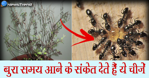 जीवन में दिखें ये संकेत तो समझ जाइये आने वाली है कोई बड़ी मुसीबत!