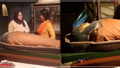mummy in albert hall jaipur