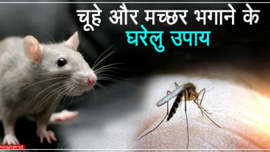 rid of mosquitoes and rats home remedy