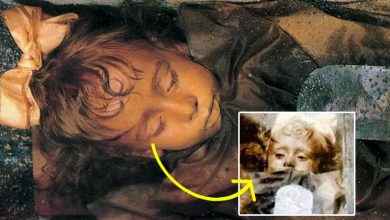 मरने के बाद भी इस बच्चे ने झपकाई थी पलकें, रोजालिया लोबरडो