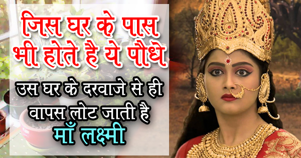 घर के आसपास भूलकर भी न लगाये ये पौधे, वरना नाराज़ होती हैं माँ लक्ष्मी और छा जाती है दरिद्रता