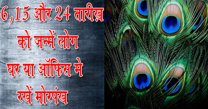 6, 15 और 24 तारीख़ को जन्में लोग घर या ऑफ़िस में रखें मोरपंख, होगी ख़ुशियों की बरसात