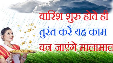 बारिश शुरू होते ही तुरंत करें ये एक काम, कुछ ही दिनों में बन सकते हैं आप करोड़पति, जानें कैसे?