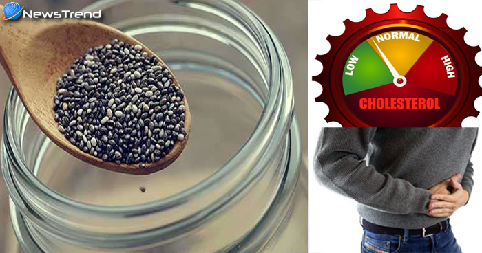 Chia Seeds in hindi