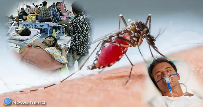 तेज़ी से फैल रहा है डेंगू का बुखार, जानिए क्या है इसका लक्षण और बचाव