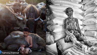 अवार्ड जीत चुकी हैं ये 20 खूबसूरत तस्वीरें, देखेंगे तो किसी जादू से कम नहीं लगेगी फोटोग्राफी