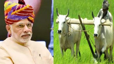 एक किसान ने पीएम मोदी से जताया अनोखा विरोध, भेज दी अपनी कमाई