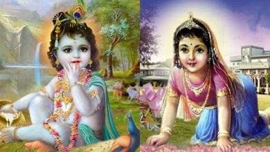 जानें कहां हुई थी राधा कृष्ण की पहली मुलाकात, नहीं जानते होंगे इनके विवाह की कहानी