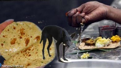 एक रोटी में छिपा है आपकी सारी परेशानियों का हल, करें ये उपाय