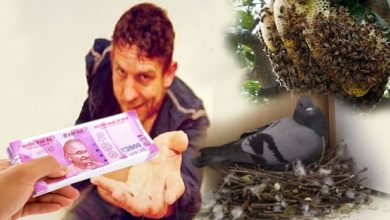 ये 3 चीज़ें कभी घर पर नहीं टिकने देती पैसा, तुरंत निकाल दें बाहर, तभी चमकेगी किस्मत