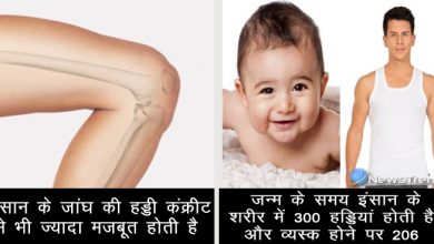 कुछ ही लोग जानते होंगे ये अजीबोगरीब और हैरान करने वाले तथ्य, आप जान लेंगे तो सिर पकड़ लेंगे