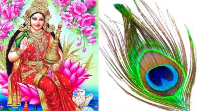 घर के इस दिशा में रख दीजिये एक मोर पंख, माँ लक्ष्मी की बरसेगी असीम कृपा