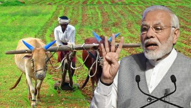 नए साल में किसानों के लिए अहम फैसला ले सकती है मोदी सरकार, जानें किन विकल्प पर हो रहा विचार