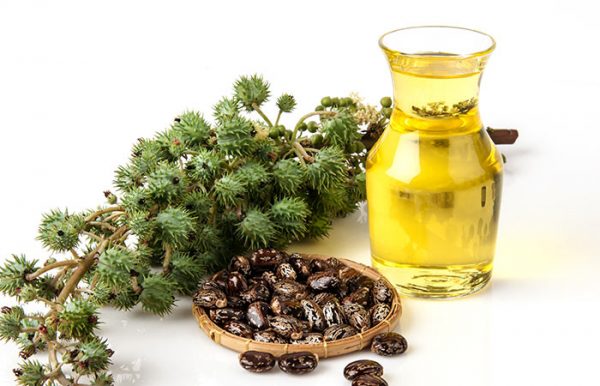 Castor oil in hindi