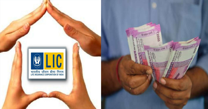 31 मार्च से पहले LIC की इस पॉलिसी में लगाएं पैसा, मिलेगा दोहरा मुनाफा