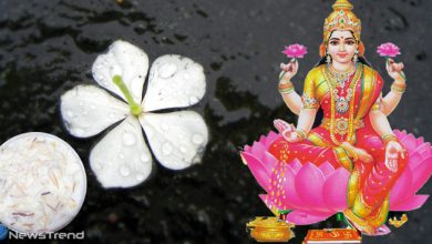 माता लक्ष्मी की पाना चाहते हैं कृपा तो शुक्रवार के दिन करें ये उपाय, धन-धान्य से भर जाएगा जीवन
