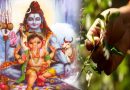 भूलकर भी इस दिन ना तोड़े तुलसी के पत्ते, हमेशा के लिए माँ लक्ष्मी हो जाती हैं नाराज़ भूलकर भी इस दिन ना तोड़े तुलसी के पत्ते, हमेशा के लिए माँ लक्ष्मी हो जाती हैं नाराज़