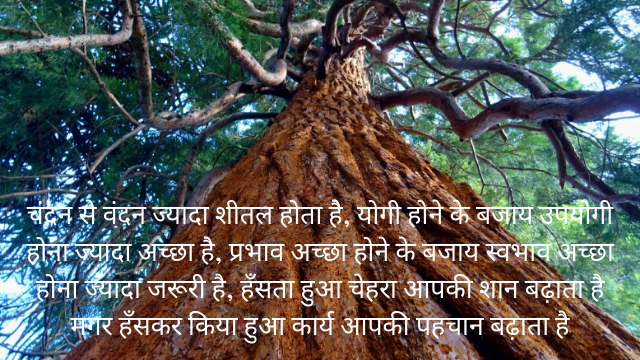 Motivational quotes in Hindi