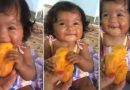 बच्ची ने पहली बार लिया आम का स्वाद, रिएक्शन देख लो बोले So Cute, देखे विडियो बच्ची ने पहली बार लिया आम का स्वाद, रिएक्शन देख लो बोले So Cute, देखे विडियो