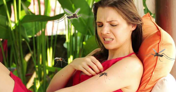 आपके शरीर के इन चीजों से ज्यादा आकर्षित होते हैं मच्छर, 32 फिट की दूरी से बनाते हैं निशाना