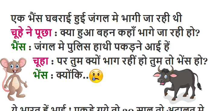 Jokes का पिटारा: जंगल में हाथी पकड़ने वाले आए तो भैंस भी भागने लगी, वजह जान लोटपोट हो जाओगे