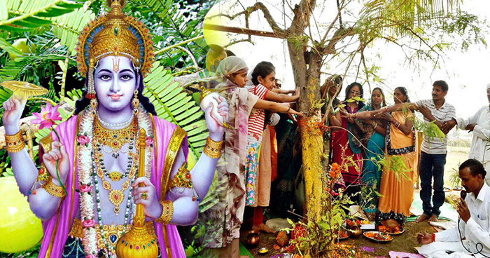 आंवला नवमी 2019: भगवान विष्णु को खुश करने के लिए करें ये 10 काम, घर में ठहरती हैं मां लक्ष्मी