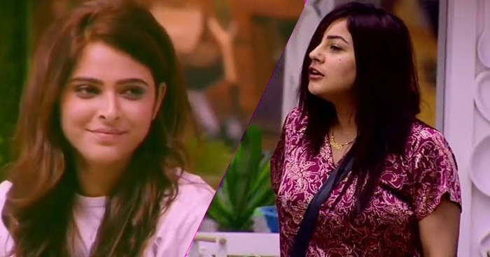 Bigg Boss 13: एलिमिनेशन में आया बड़ा ट्विस्ट, मधुरिमा नहीं इस कंटेस्टेंट को छोड़ना पड़ा घर