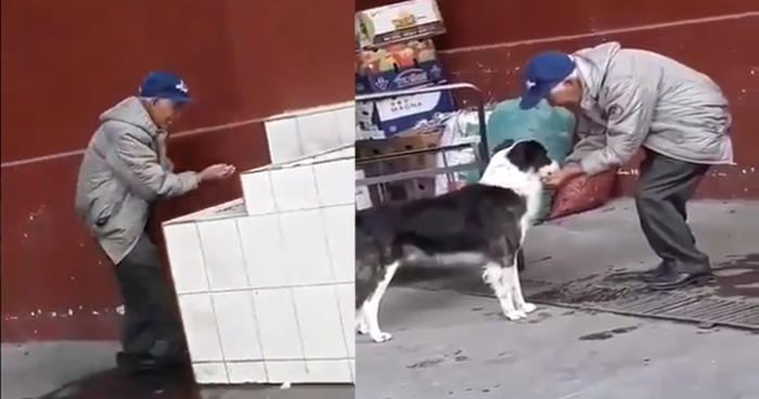 प्यासे कुत्ते को देख इस बूढ़े आदमी ने जो किया वो मानवता की मिसाल बन गया, देखे विडियो