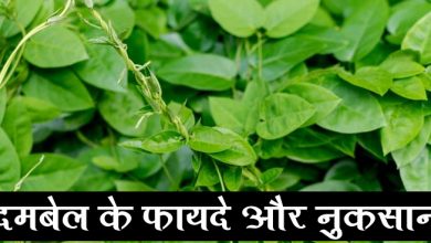दमबेल के फायदे