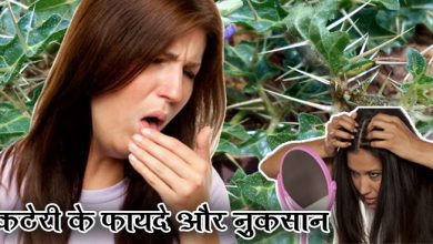 कटेरी के फायदे