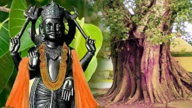 शनि दोष हटाना हो या दुःख भागाना हो, बस पीपल के पेड़ के पास करे ये 5 काम
