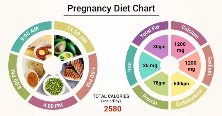 Indian Diet Chart For Lady In First Trimester Pdf