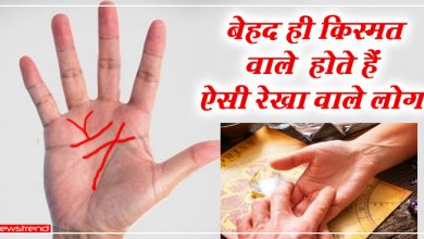 हथेली पर इन रेखाओं का होना माना जाता है शुभ, बेहद ही किस्मत वाले होते हैं ऐसी रेखा वाले लोग