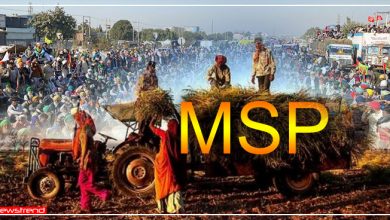 MSP क्या है? जिसको लेकर किसानों का चल रहा है हंगामा, जानिए पूरी जानकारी